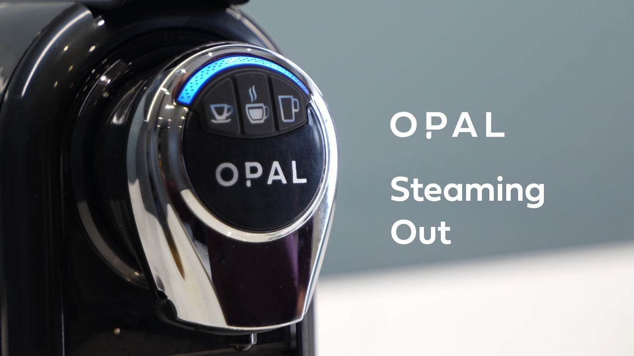 How to Use Opal